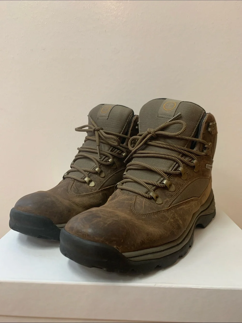 Timberland White Ledge Mid Hiking Boot